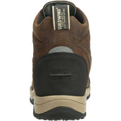 Suedwind Jodhpur Field FZ GripFTX Chocolat