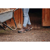 Suedwind Jodhpur Field FZ GripFTX Chocolat