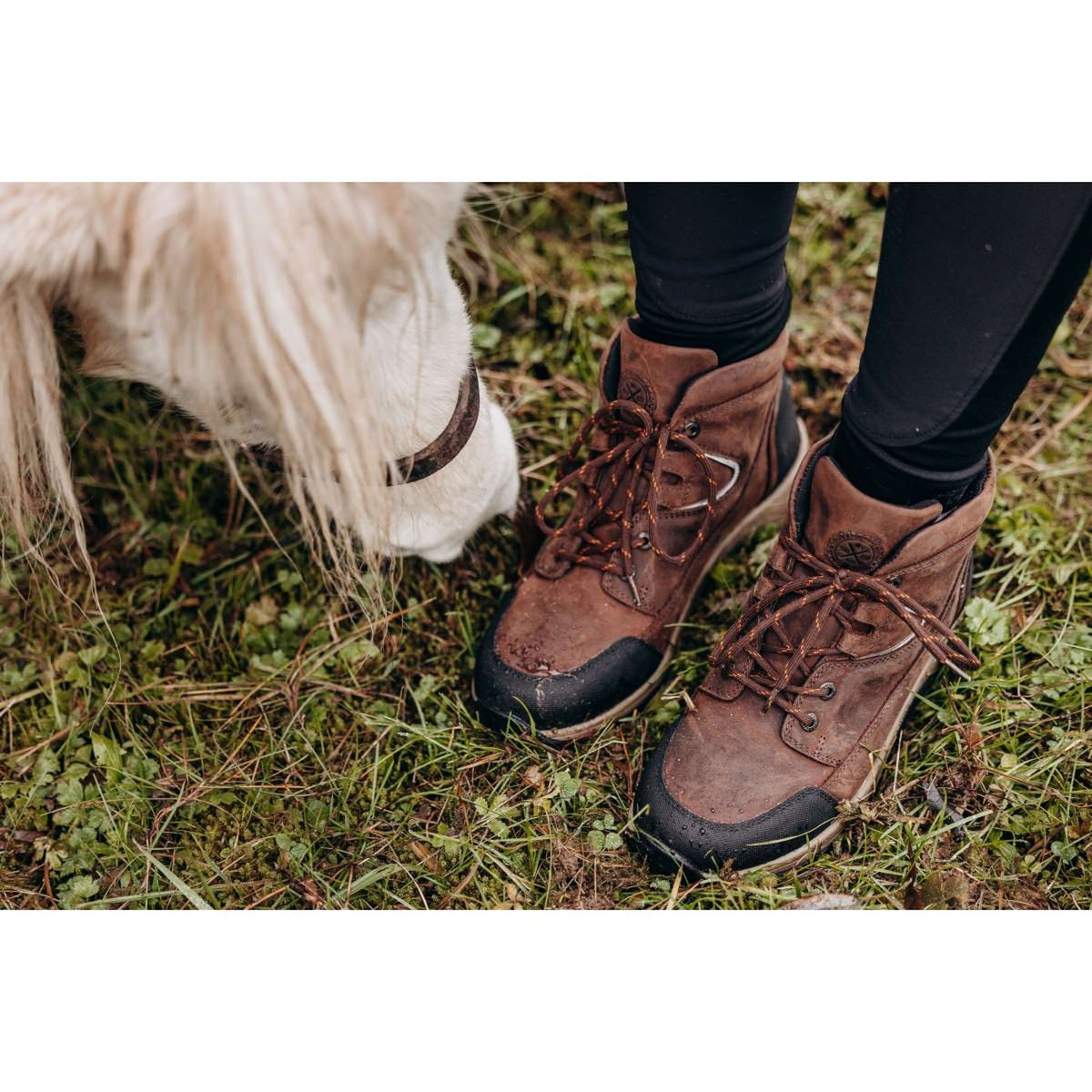 Suedwind Jodhpur Field Lace GripFTX Chocolat