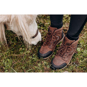 Suedwind Jodhpur Field Lace GripFTX Chocolat