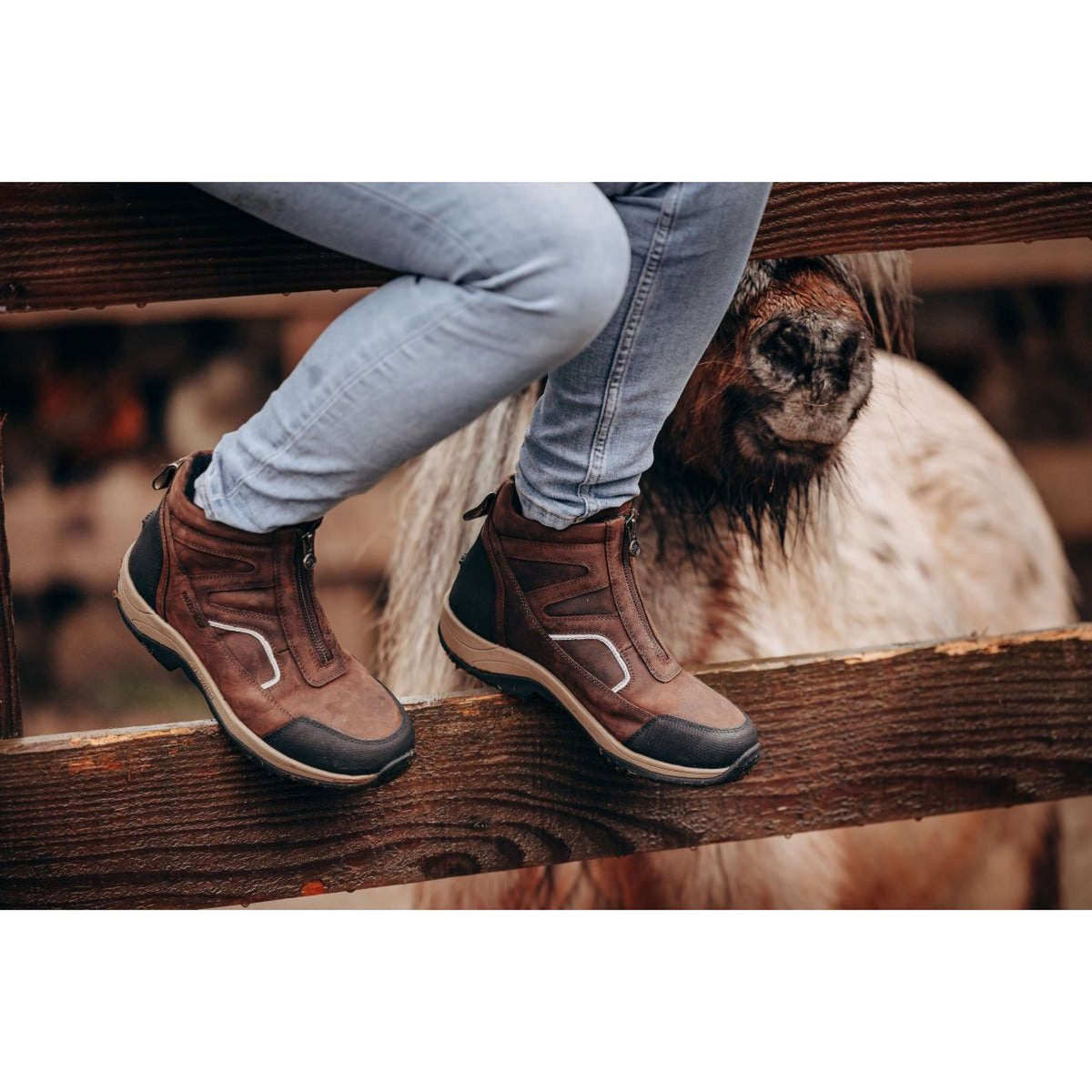 Suedwind Jodhpur Field FZ GripFTX Chocolat