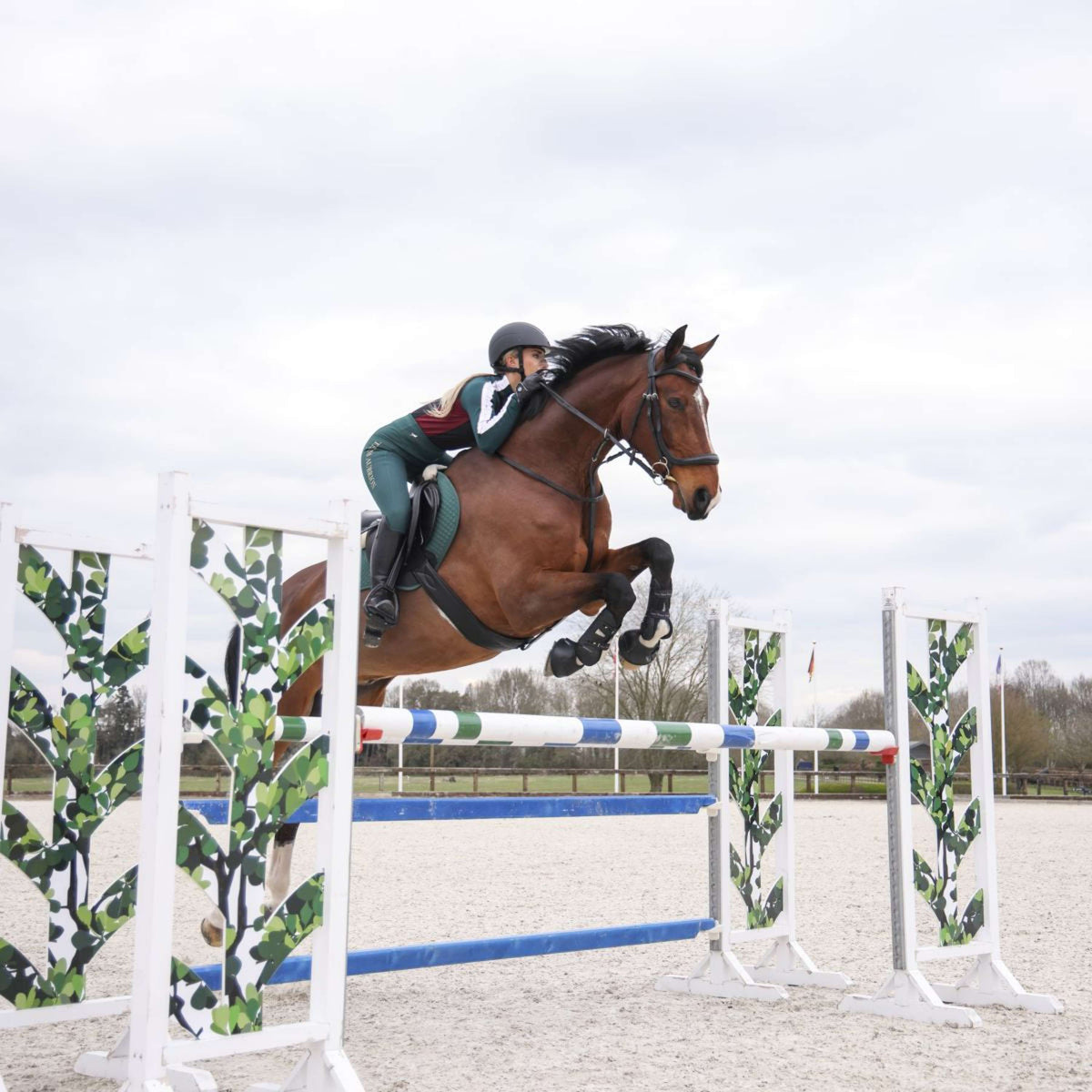 Aubrion Legging d'Équitation Team Hiver Vert