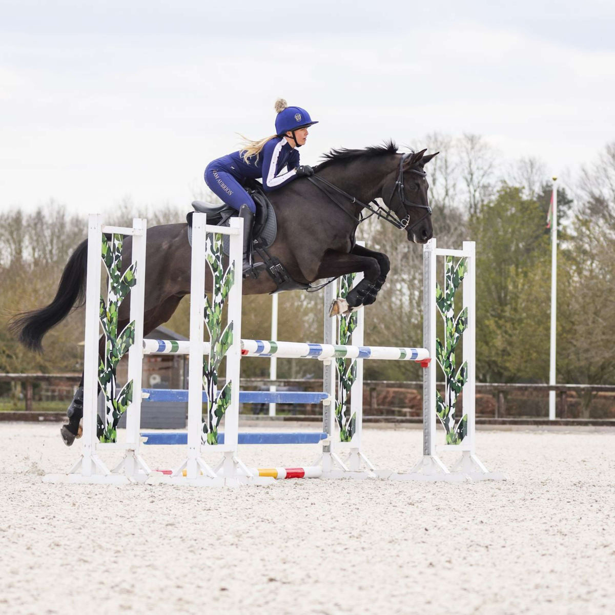 Aubrion Legging d'Équitation Team Hiver Marin