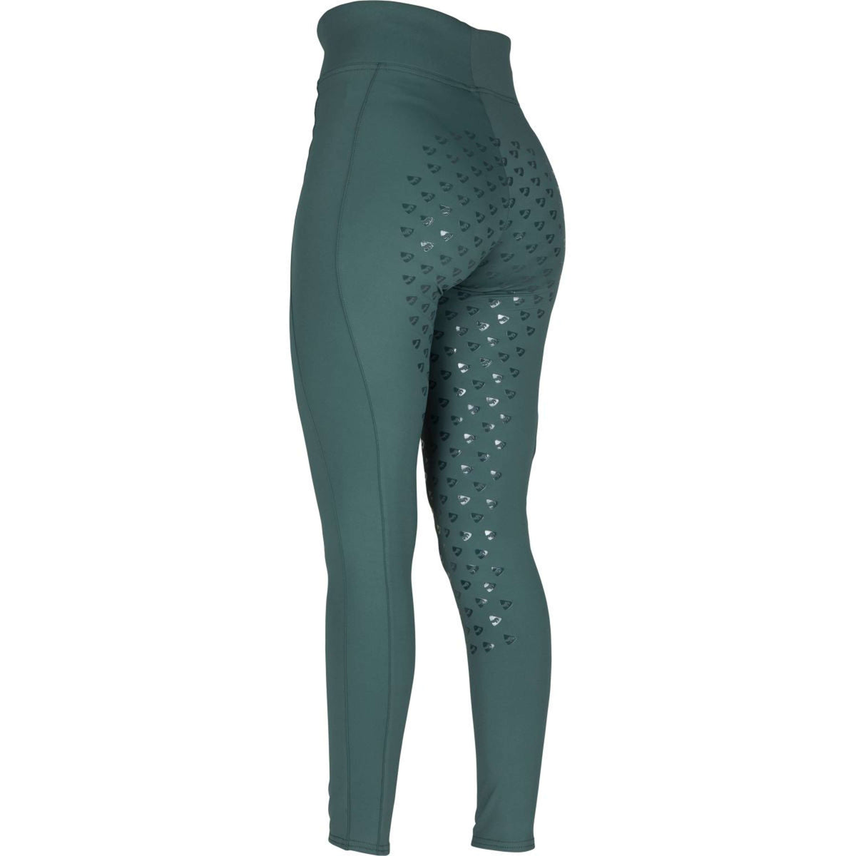 Aubrion Legging d'Équitation Eltar Full Grip Vert