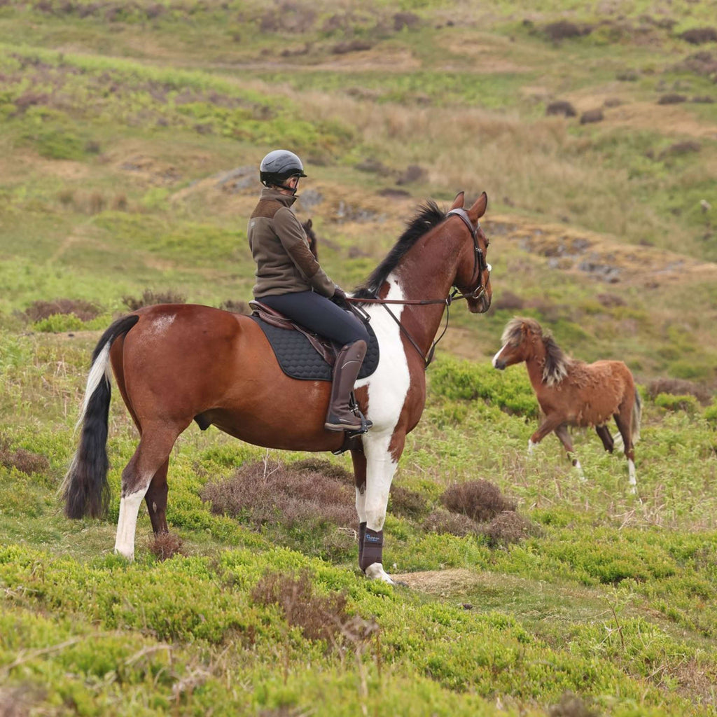Aubrion by Shires Pull Heritage Fleece Olive foncé