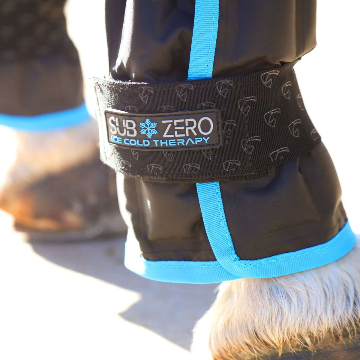 Arma by Shires Ice Boots SubZero Noir