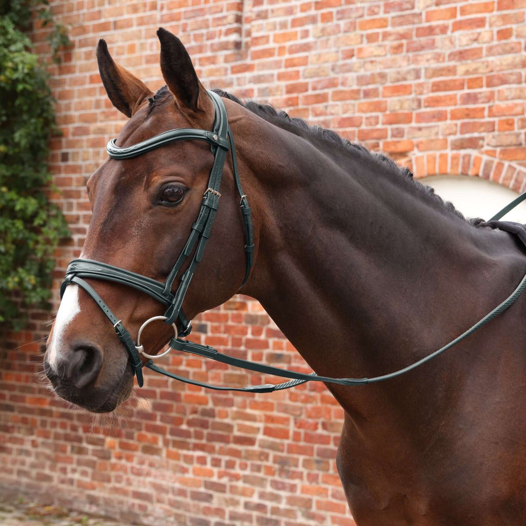 Velociti by Shires Rênes Lusso Elite Pro SureGrip Noir