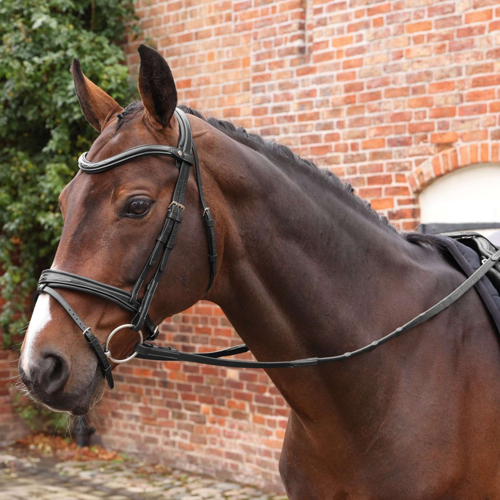 Velociti by Shires Rênes Lusso Elite Pro SureGrip Noir