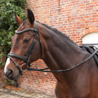 Velociti by Shires Rênes Lusso Elite Pro SureGrip Noir