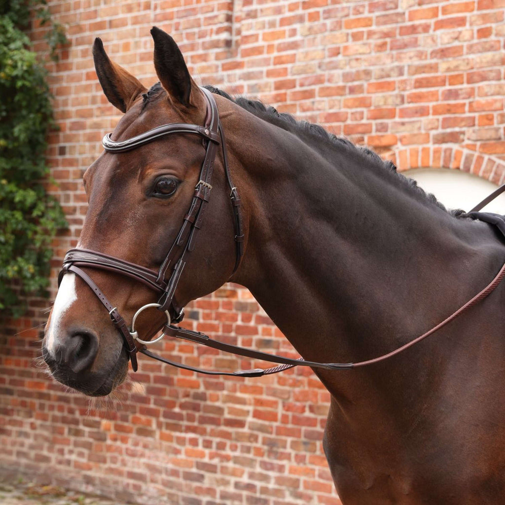 Velociti by Shires Rênes Lusso Elite Pro SureGrip Havane