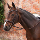 Velociti by Shires Rênes Lusso Elite Pro SureGrip Havane