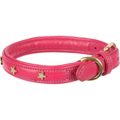 Digby & Fox Collier pour Chien Star Rose