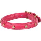 Digby & Fox Collier pour Chien Star Rose