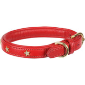 Digby & Fox Collier pour Chien Star Scartlett