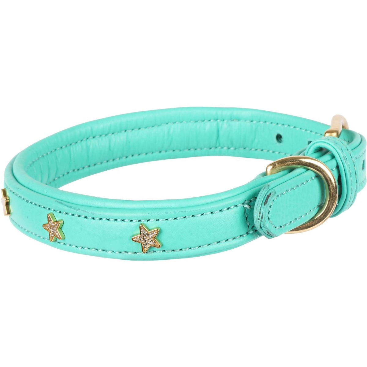 Digby & Fox Collier pour Chien Star Teal