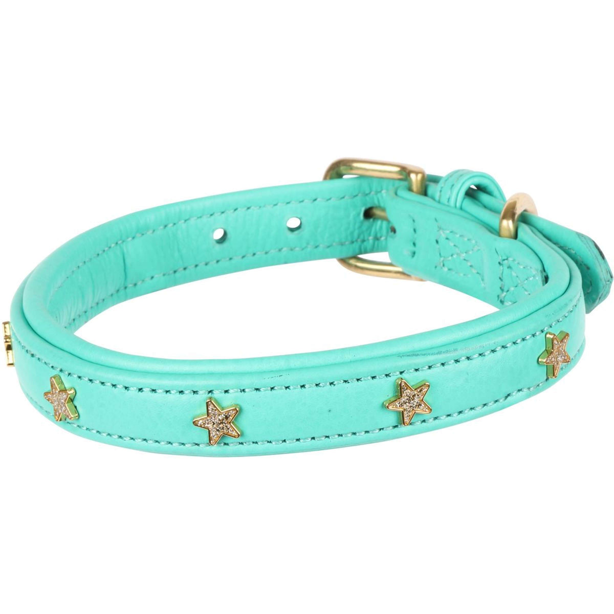 Digby & Fox Collier pour Chien Star Teal