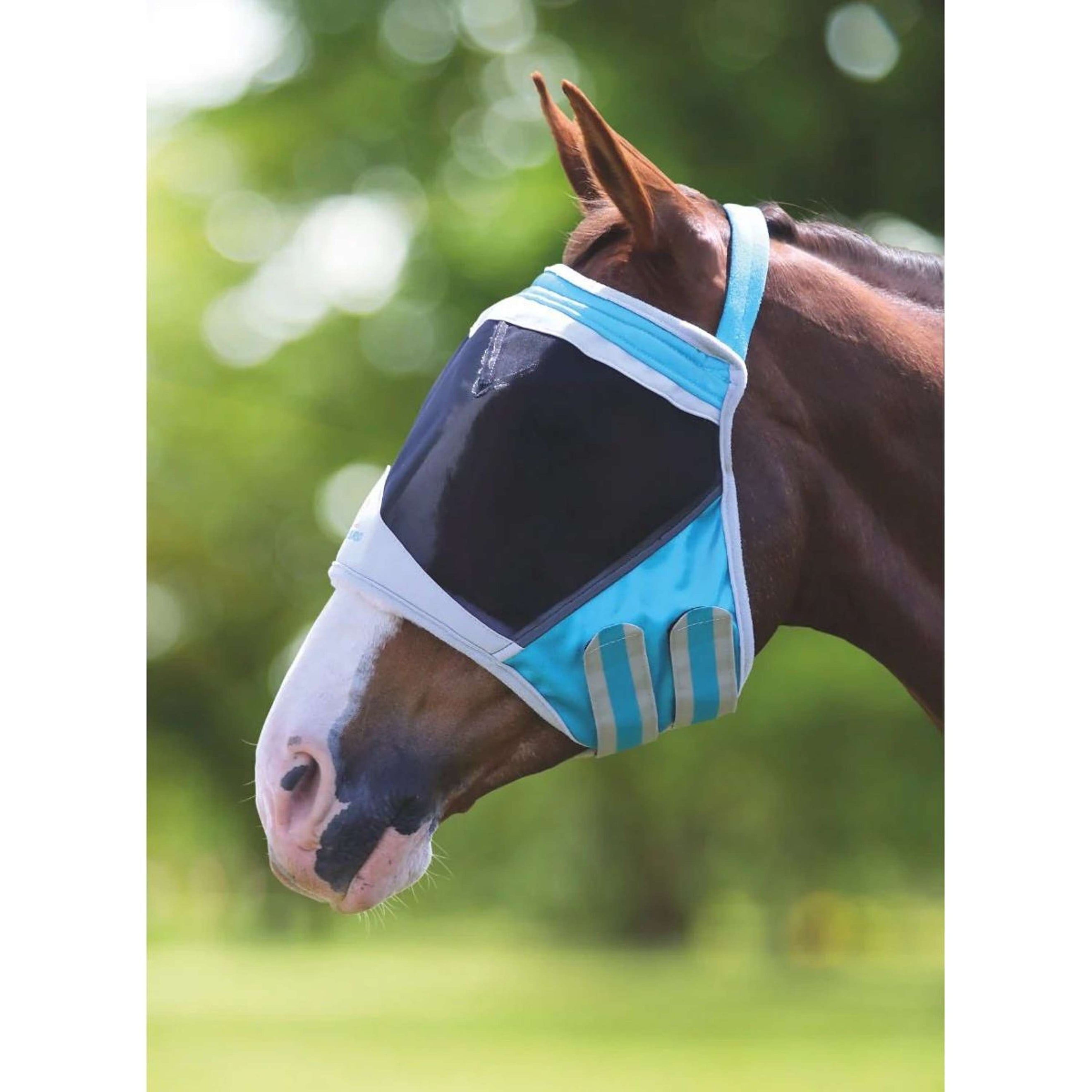 Shires Masque Anti-Mouches Filet Fin Sans Oreilles Vert-Bleu