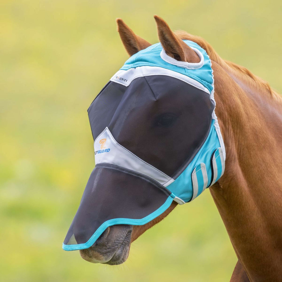 Shires Masque Anti-Mouches avec Découpe D'oreille et Rabat de Nez Teal