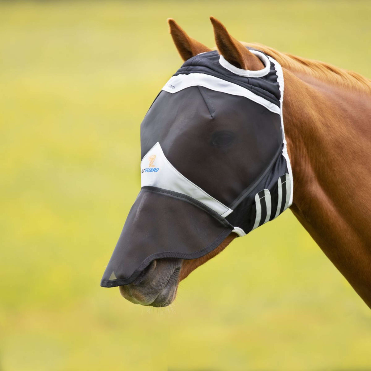 Shires Masque Anti-Mouches avec Découpe D'oreille et Rabat de Nez Noir