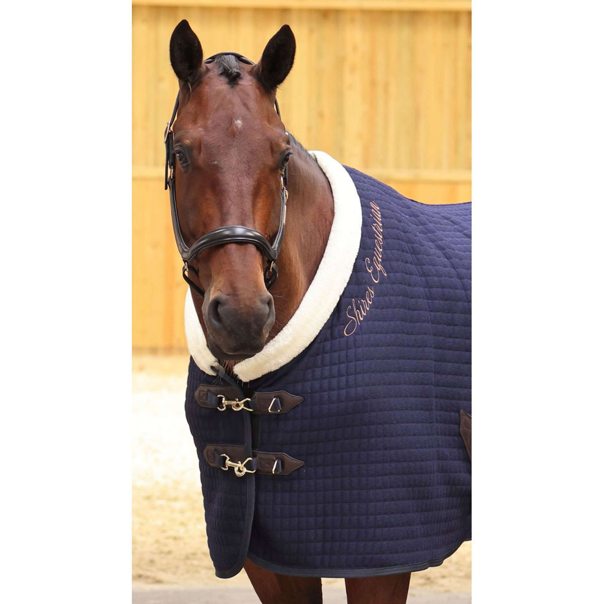 Shires Chemise Rafraîchissante Tech Deluxe Marin