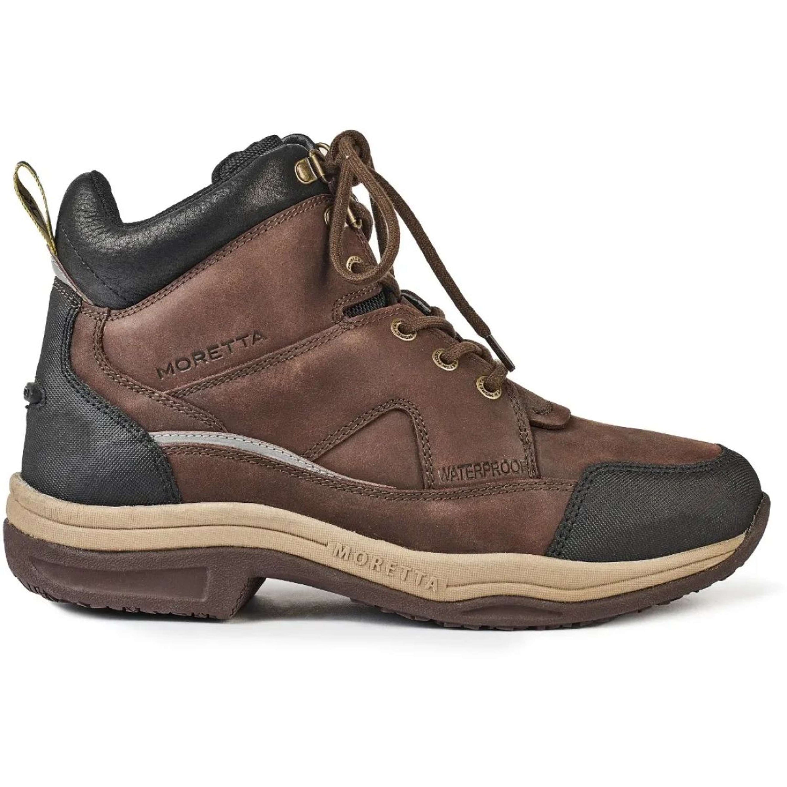 Moretta Chaussures d'Écurie Eleonora Xgrip Marron Moretta Chaussures d'Écurie Eleonora Xgrip Marron