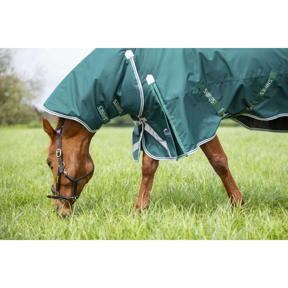 Highlander Original Couvre-Cou Turnout 300g Vert