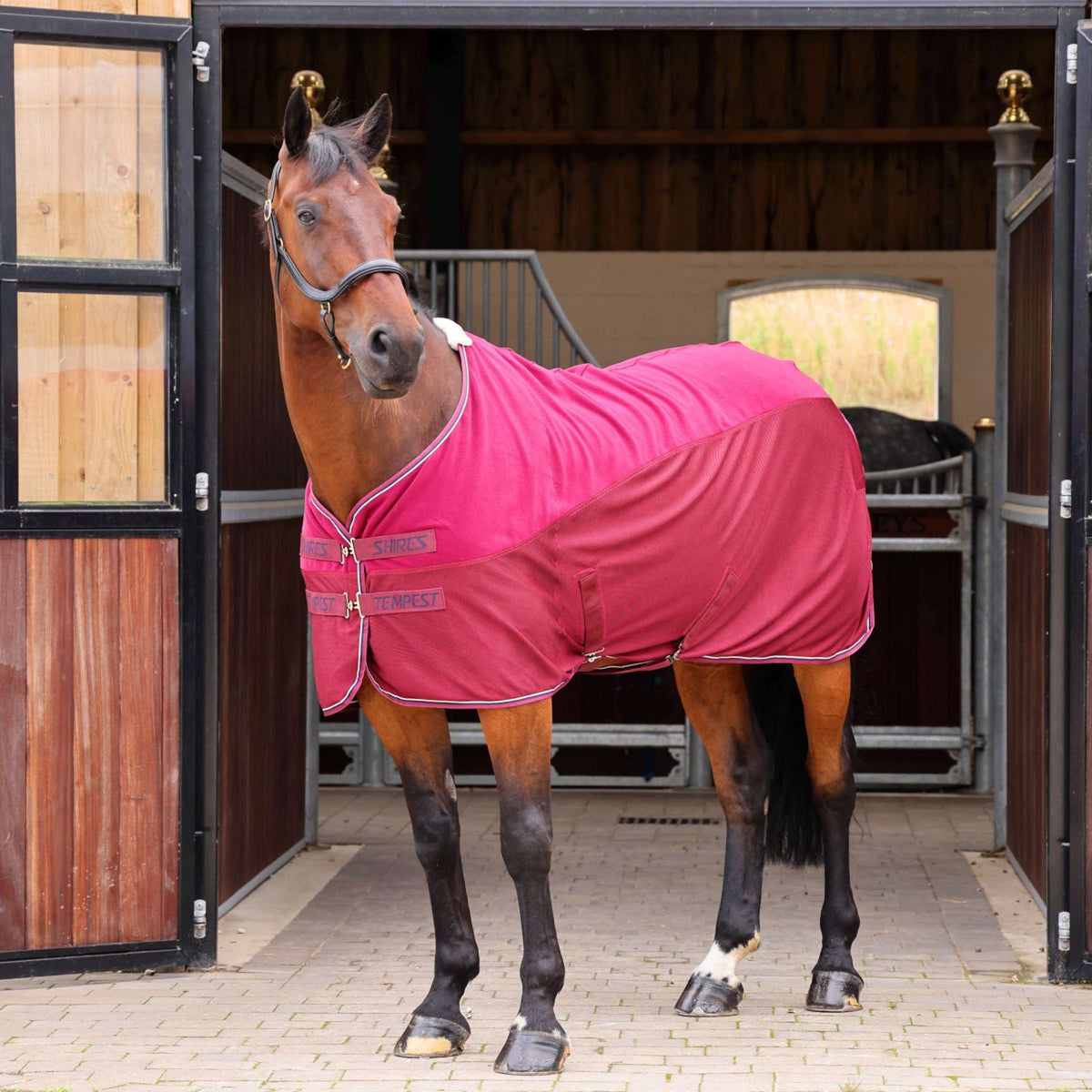 Tempest Original by Shires Couvertures Anti-Transpiration Original Fleece/Mesh Maroon Red