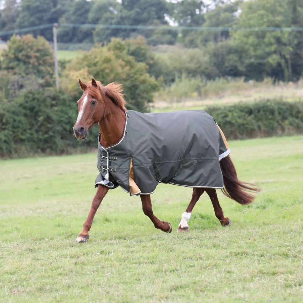 Highlander Plus by Shires Couverture Imperméable Turnout 50g Vert