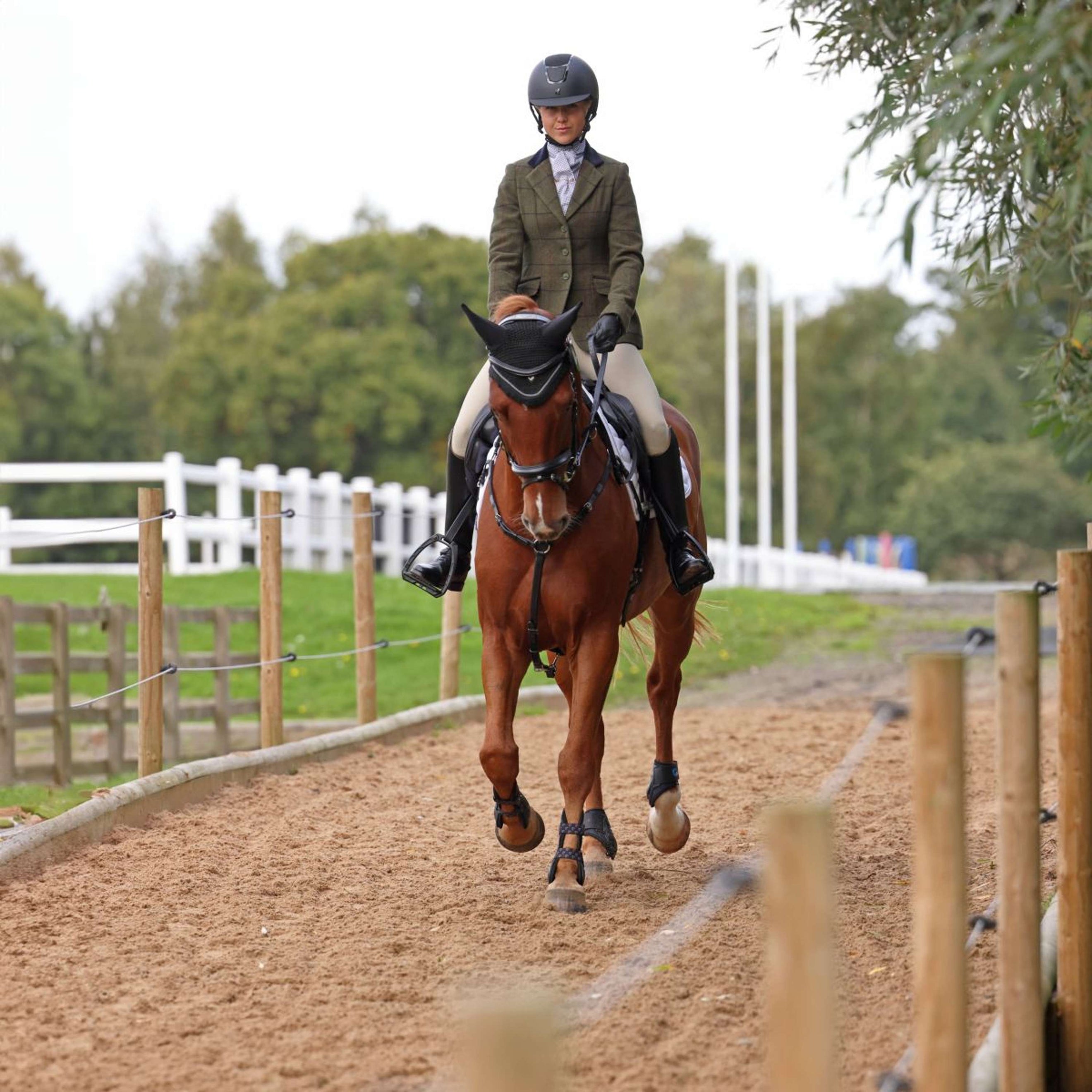 Aubrion by Shires Veste de Concours Saratoga Spruce Vert Check