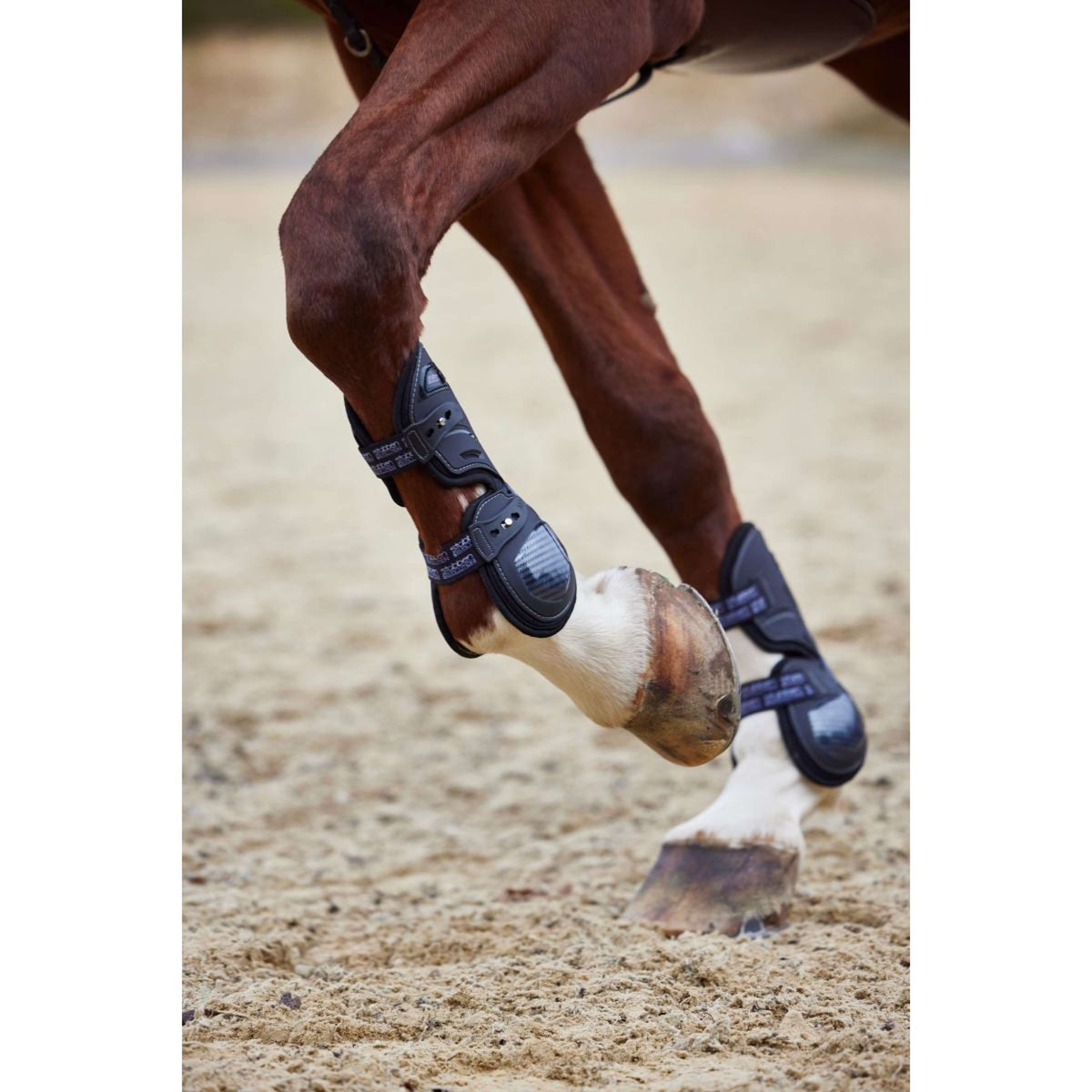 Stübben Protèges-Tendons Hybrid Carbon Noir