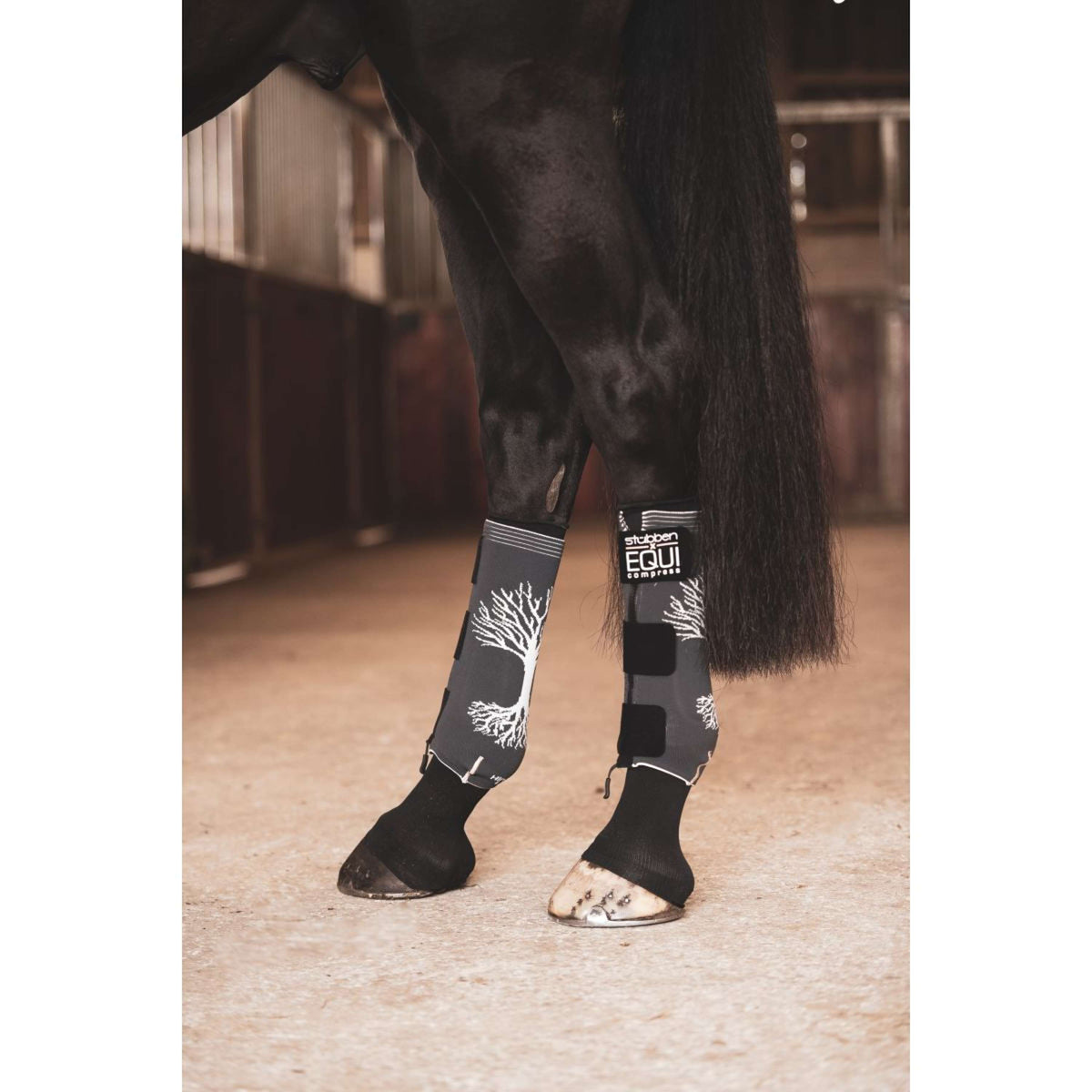 Stübben Equi Compress Set Jambes arrière