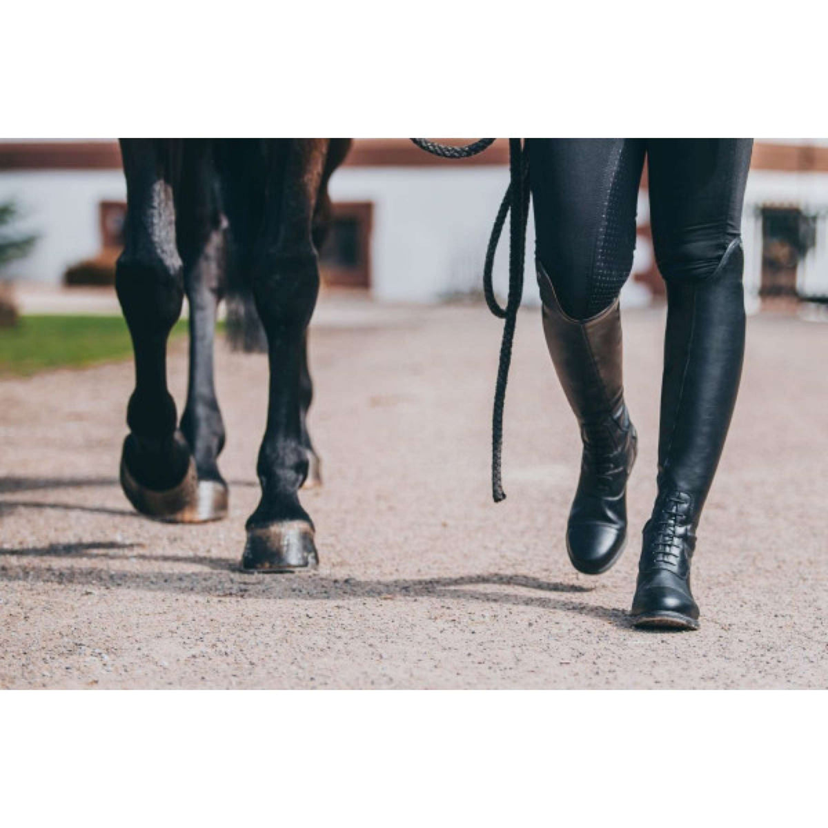 Suedwind Bottes d'Équitation Nova Tall Vegan Noir