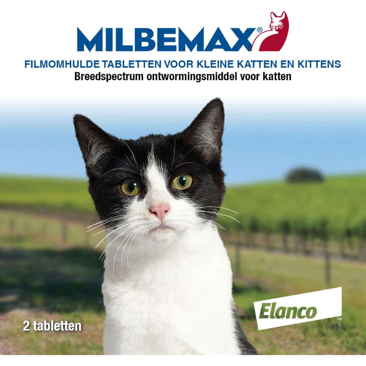 Milbemax Comprimés Vermifuges Chaton/Chat Petit 0,5-2kg 2 Pièces