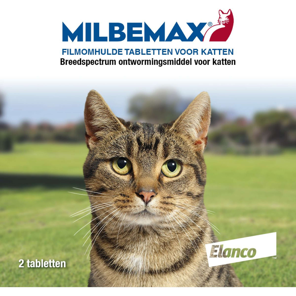 Milbemax Comprimé Vermifuge Chat Grand 2 Comprimés