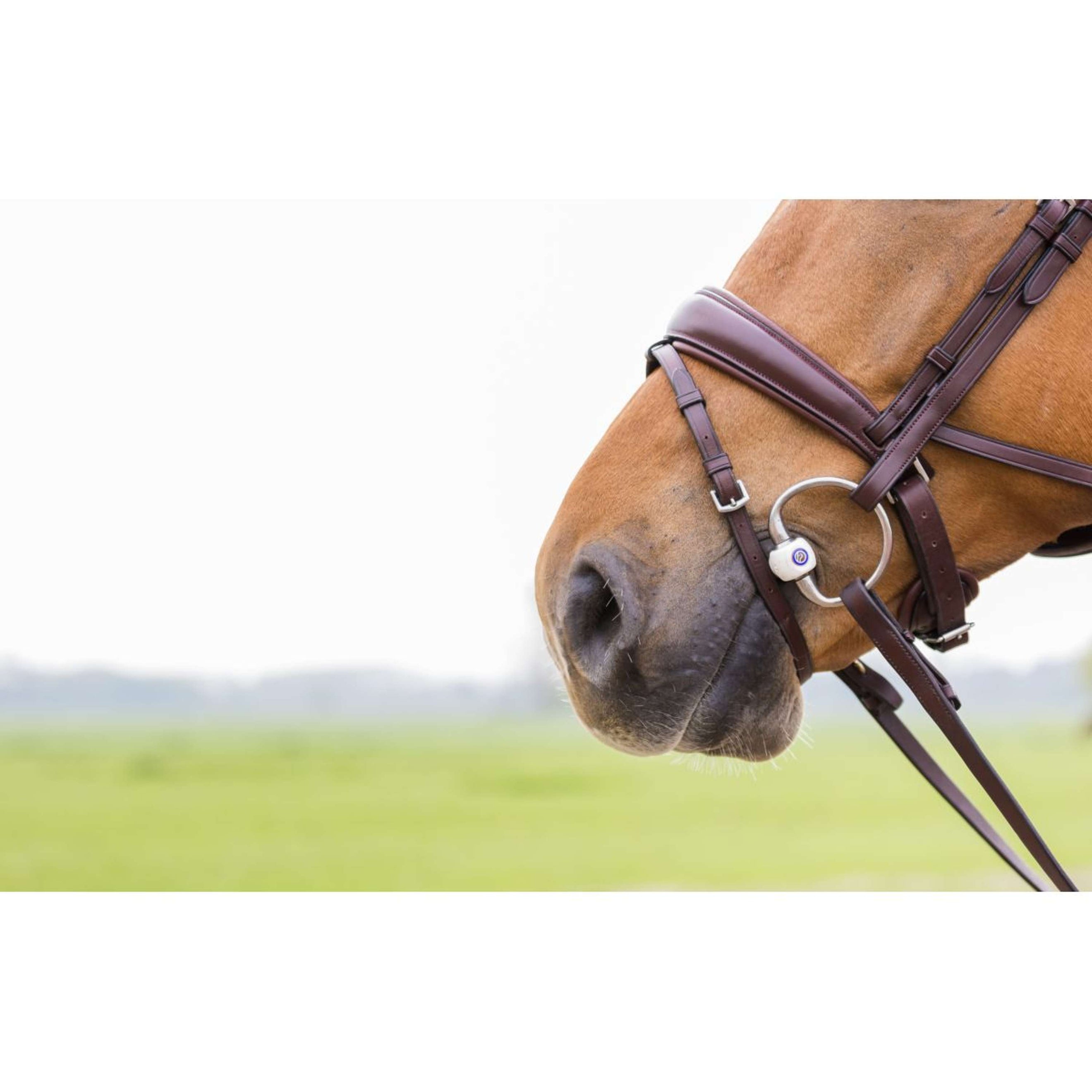 Trust Mors de Dressage à Olives Inno Sense Flexi Soft 15mm Trust Mors de Dressage à Olives Inno Sense Flexi Soft 15mm