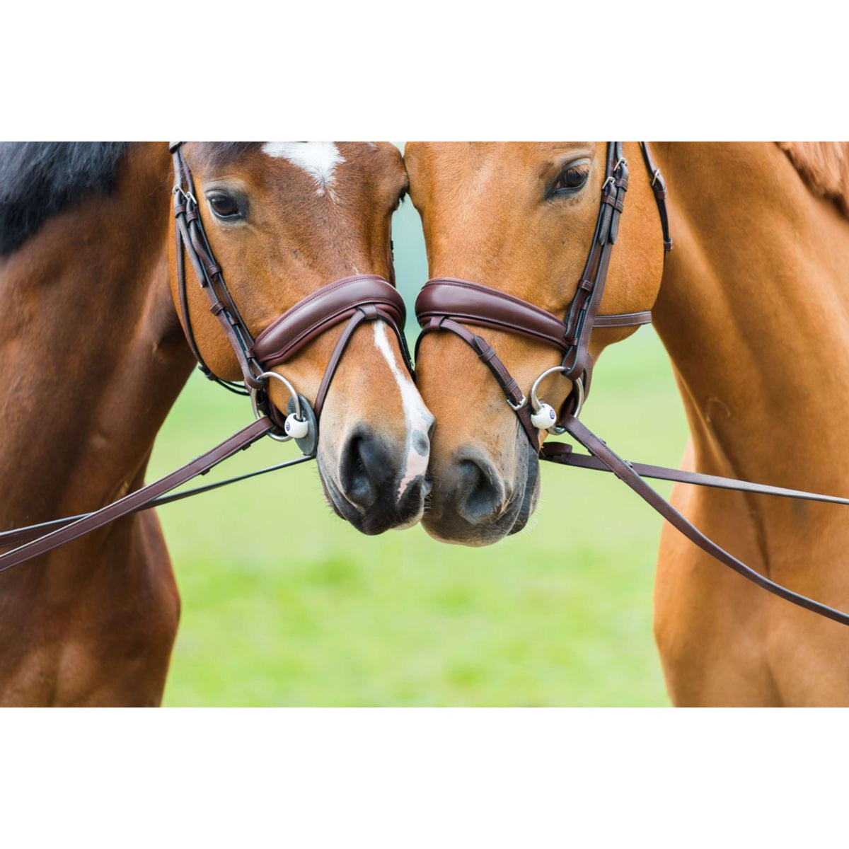 Trust Mors de Dressage à Olives Inno Sense Flexi Soft 14mm