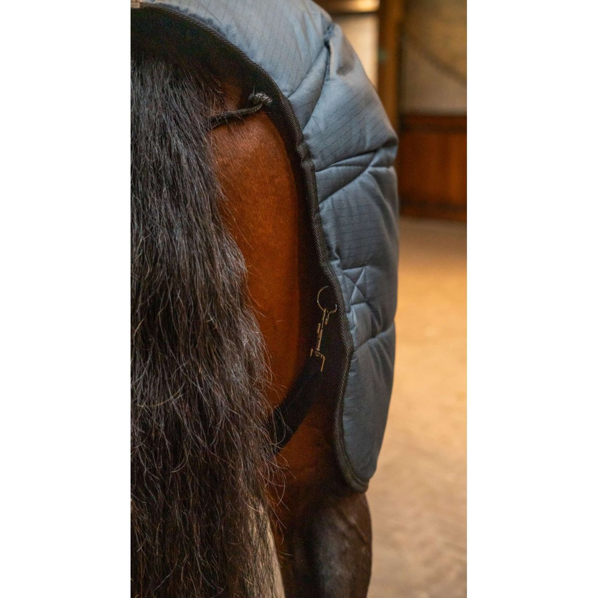 Trust Couverture d'Écurie Tetris 200g Marin