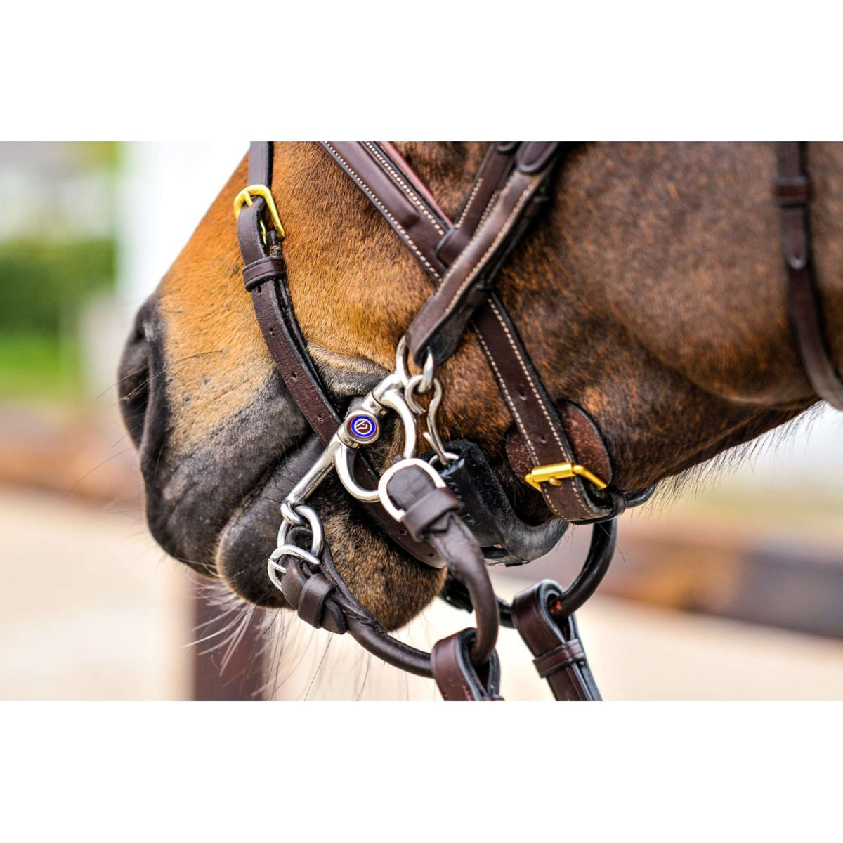 Trust Pelham Sweet Iron Double Brisure 16mm