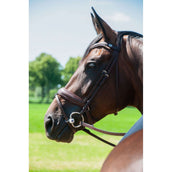 Trust Mors de Dressage à Olives Inno Sense Port Medium 15mm