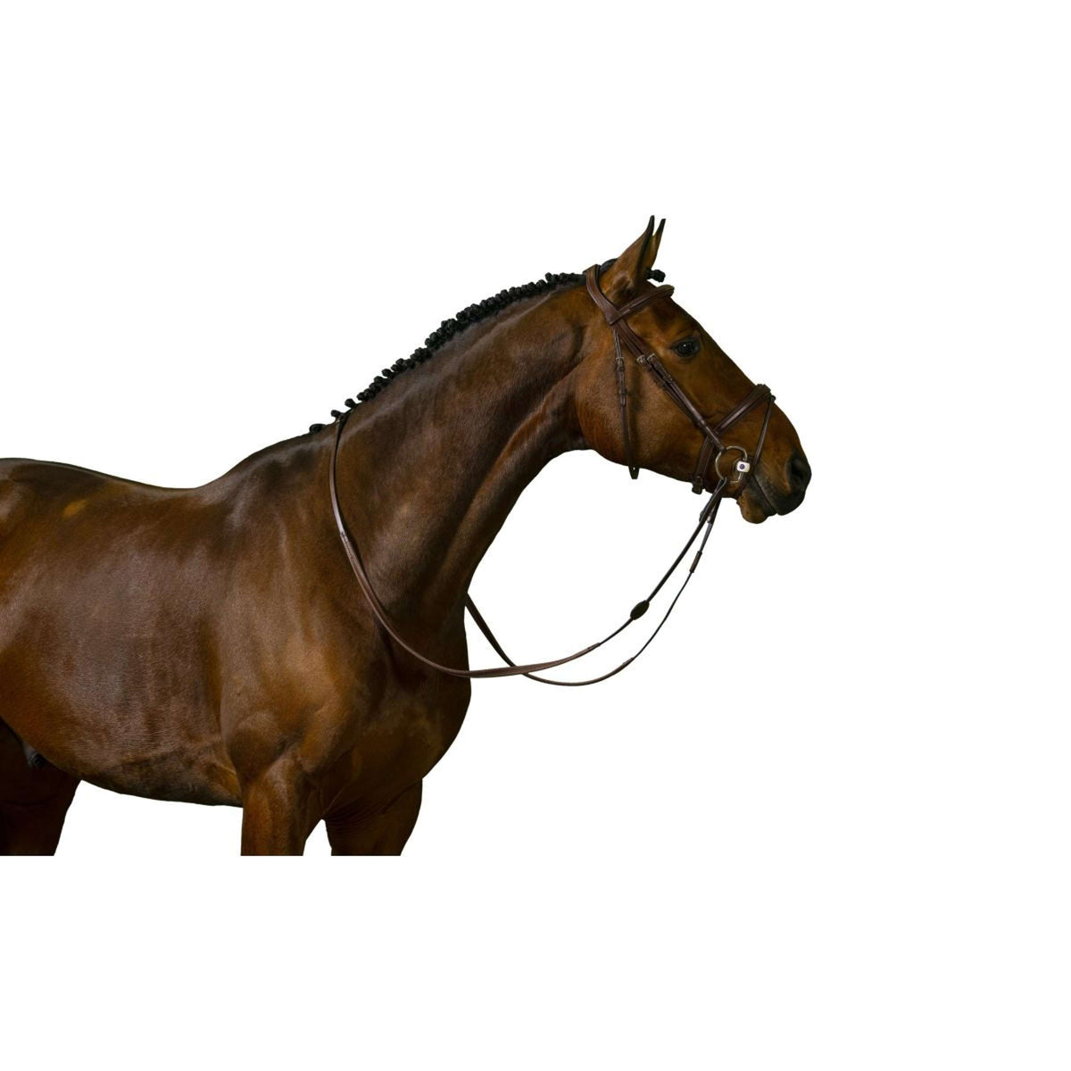 Trust Bride Amsterdam Marron/Argent