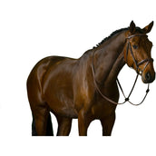 Trust Bride Amsterdam Marron/Argent