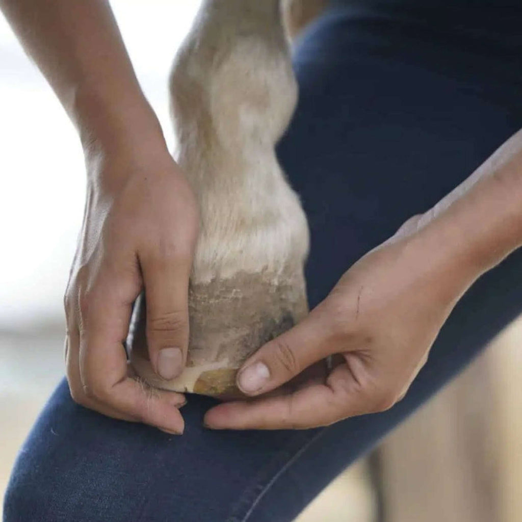 Unique-horn Hoof Wax Repair Jaune