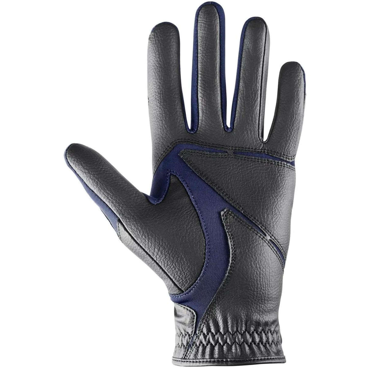 Uvex Gants d'Équitation Ventarxion Plus Noir/Bleu