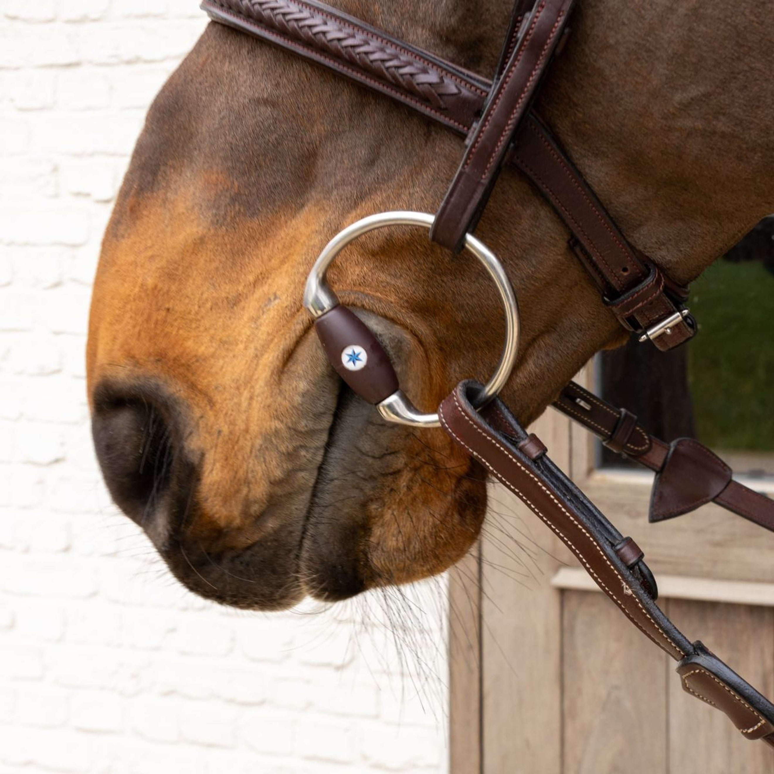 Velari Filet buste Flex Hard 20mm Velari Filet buste Flex Hard 20mm