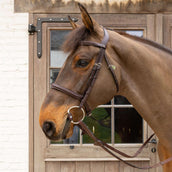 Velari Filet buste Flex Hard 20mm