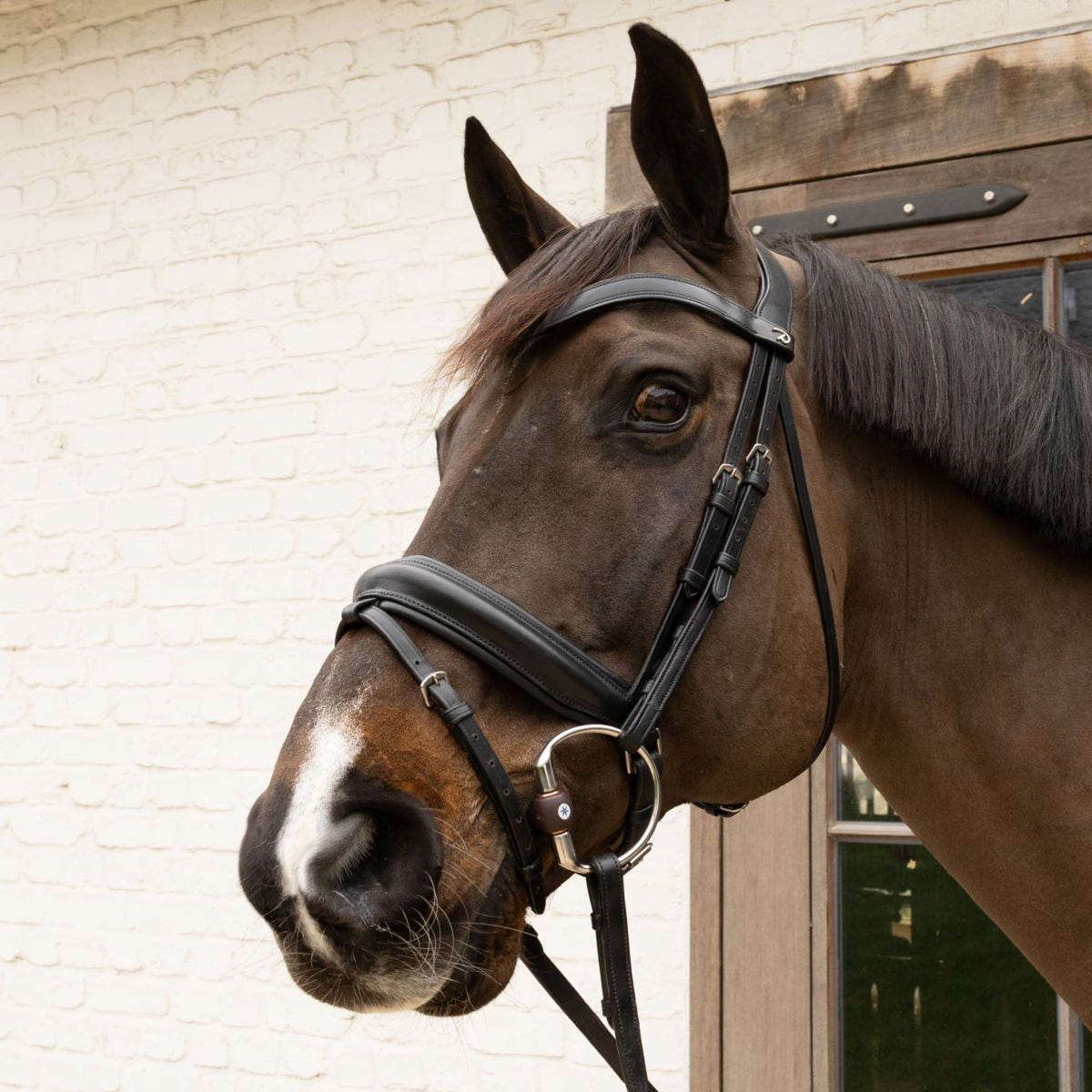 Velari Filet buste Flex Hard 20mm