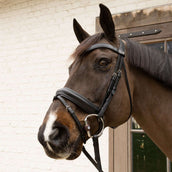 Velari Filet buste Flex Hard 20mm