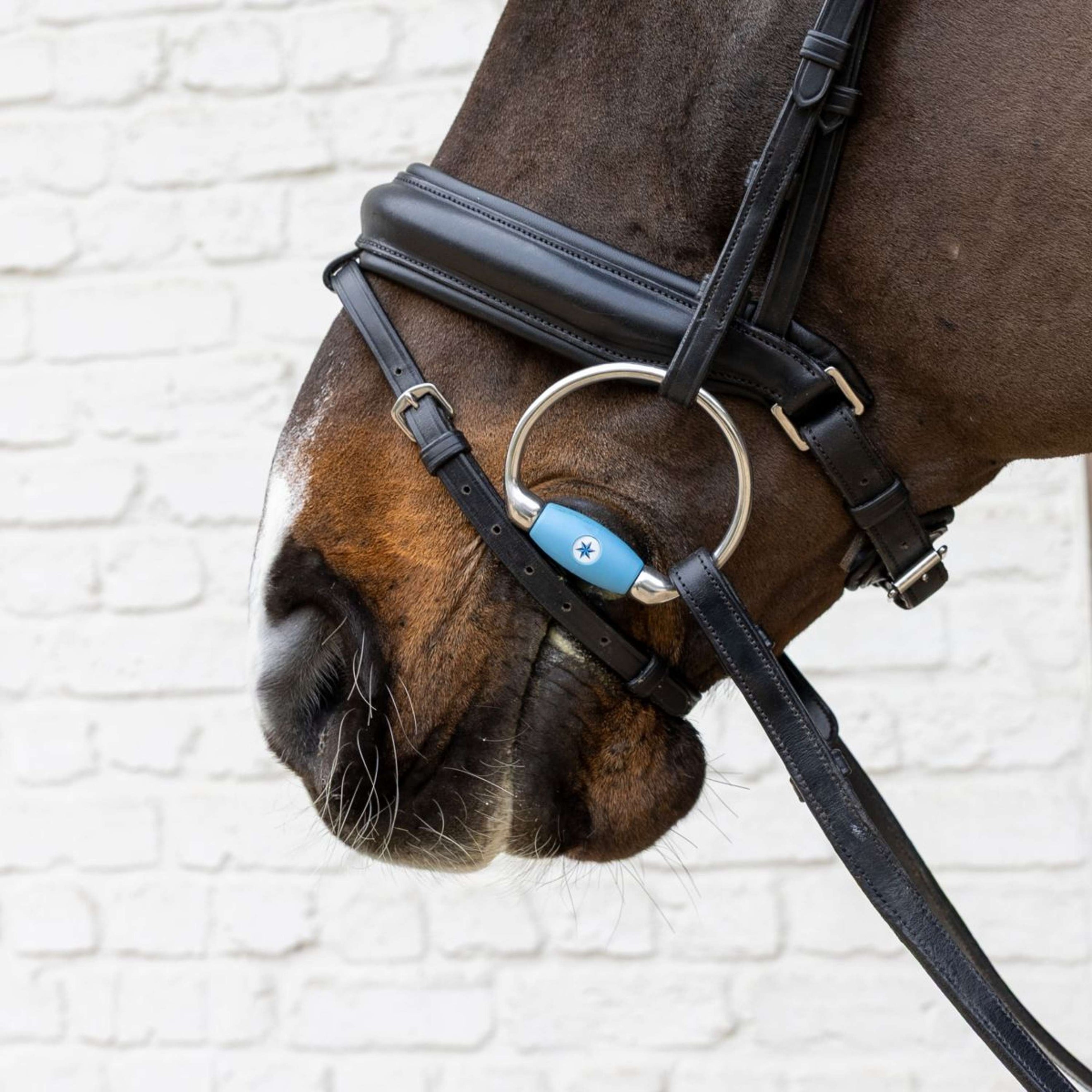 Velari Filet buste Flex Medium 20mm