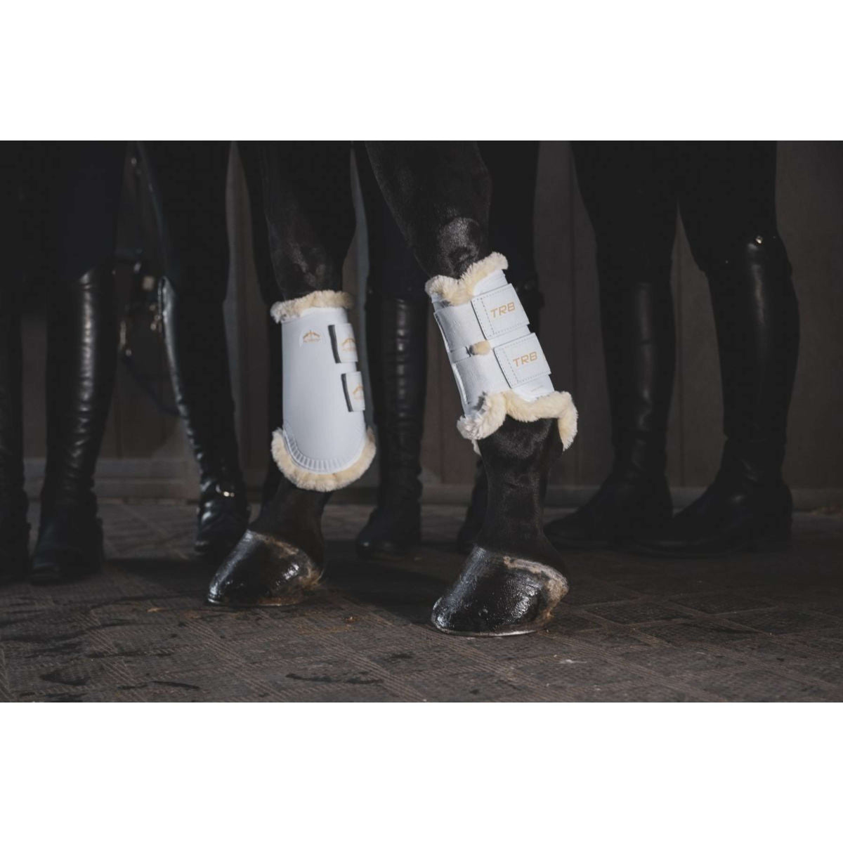 Veredus Guêtres TRB Save the Sheep Rear Blanc