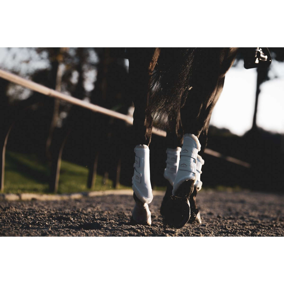 Veredus Guêtres TRB Save the Sheep Rear Blanc